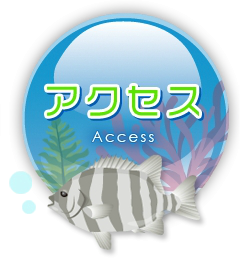 アクセス