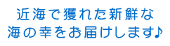 近海で獲れた新鮮な海の幸をお届けします♪